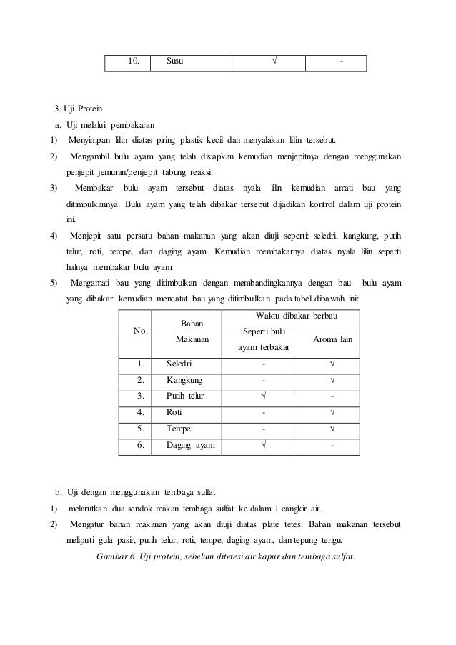 Laporan praktikum uji makanan